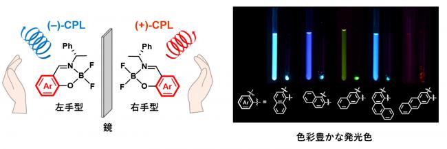 安価な有機ホウ素化合物を用いてマルチカラー円偏光発光を実現!